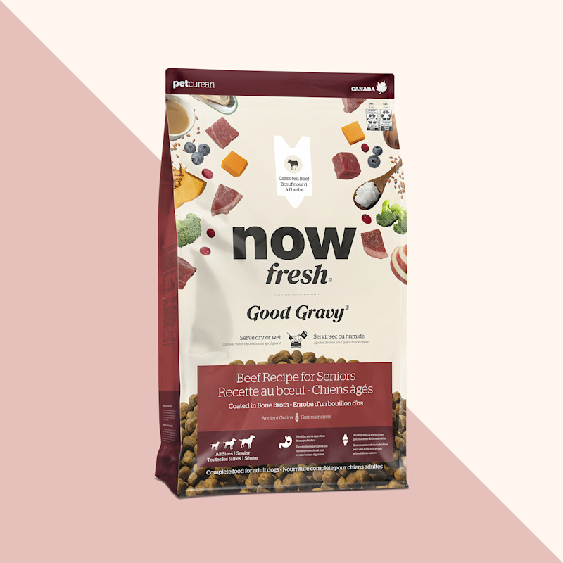 Nourriture sèche pour chiens âgés Good Gravy de Now Fresh, recette au bœuf