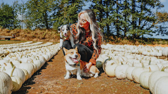 Woman in pumpkin patch with two dogs