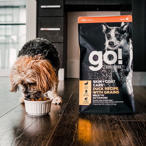 GO! Solutions Skin + Coat Care Duck Recipe With Grains Dry Dog Food