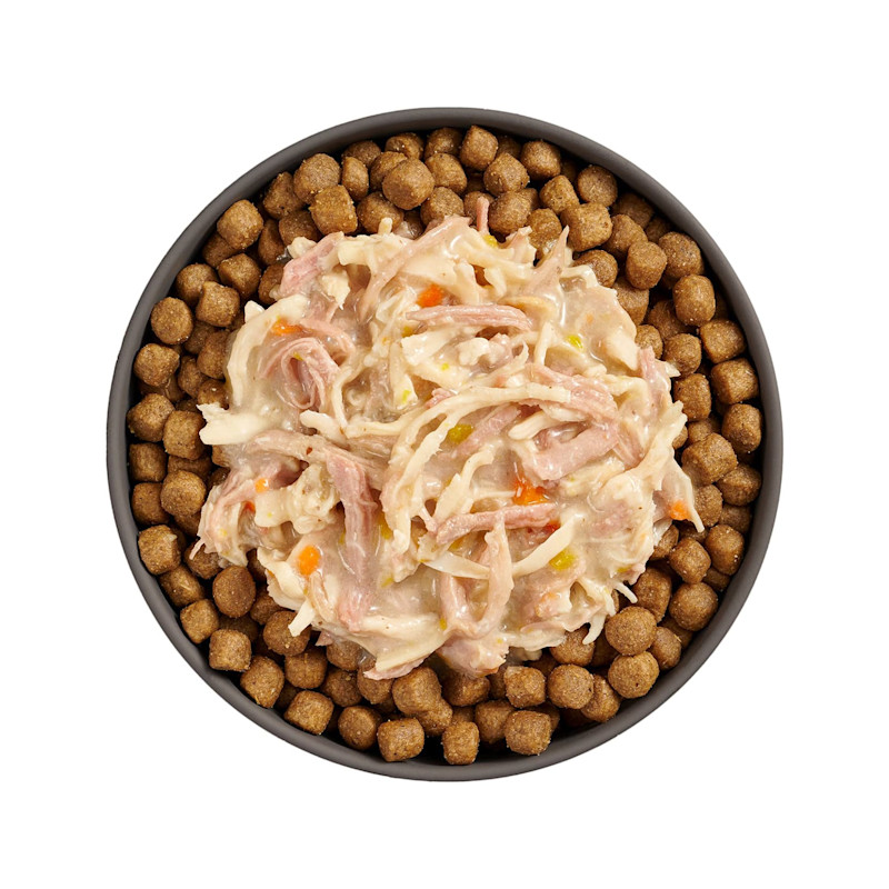 Bowl of kibble topped with Go! Booster Weight Management Shredded Chicken + Duck recipe for cats