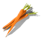 Fresh carrots