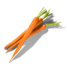 Fresh carrots