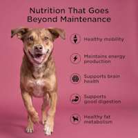 Healthy mobility, maintains energy production, supports brain health, supports good digestion, and healthy fat metabolism