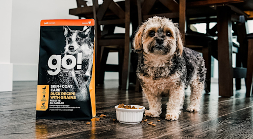 Shaggy dog with bag of Go! Solutions Skin + Coat Care kibble