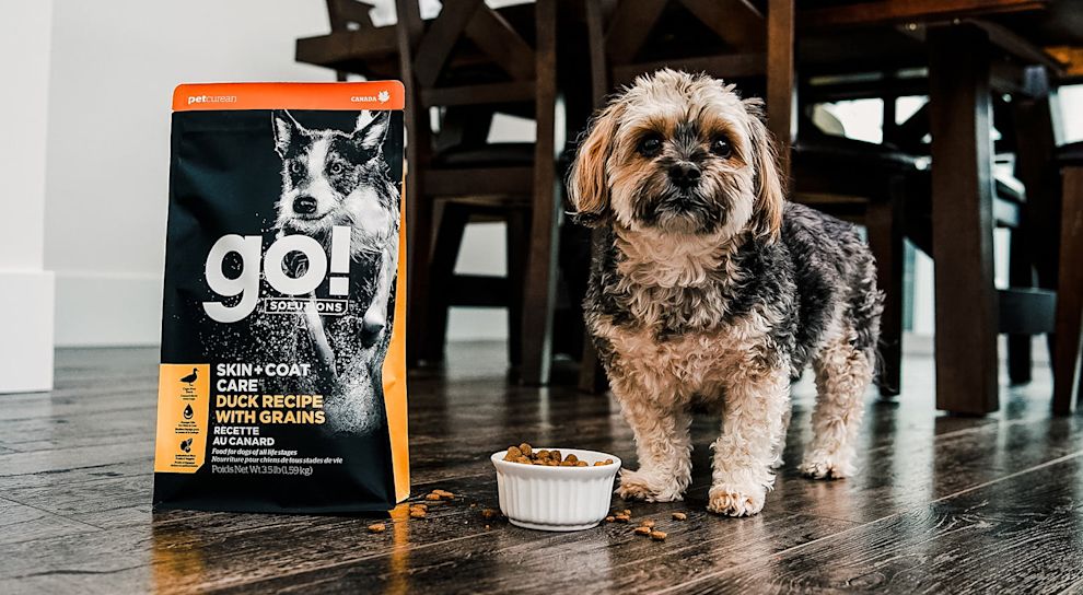 Shaggy dog with bag of Go! Solutions Skin + Coat Care kibble