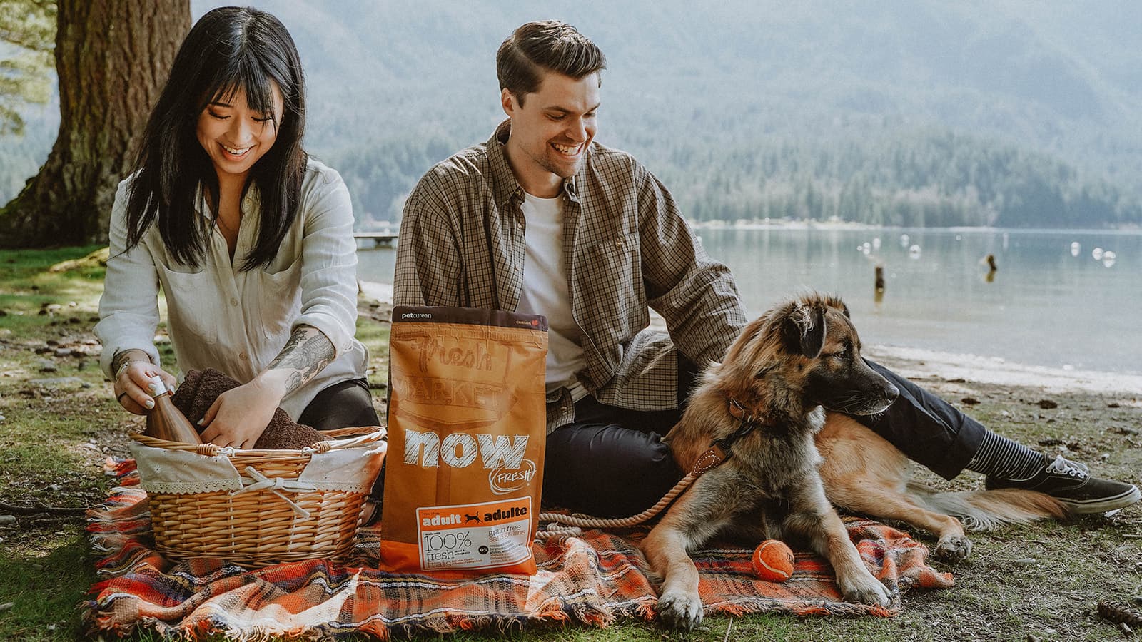 ダイエットフード NDD SELECT NOW Turkey, Salmon & Duck Grain-Free Dry Dog Food | Now Fresh