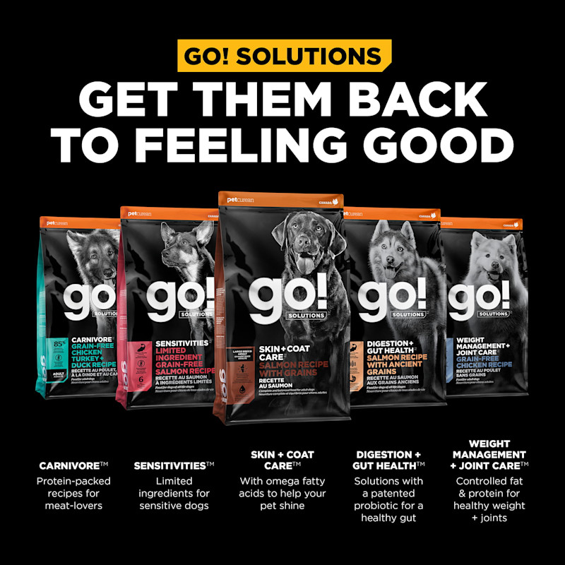 Get them back to feeling good with our other dog food product lines