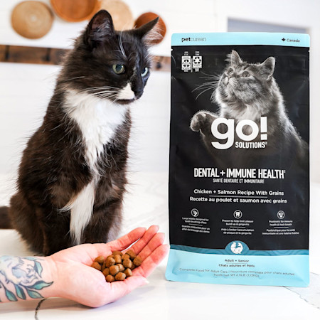 Black and white cat with bag of Go! Solutions Dental + Immune Health kibble