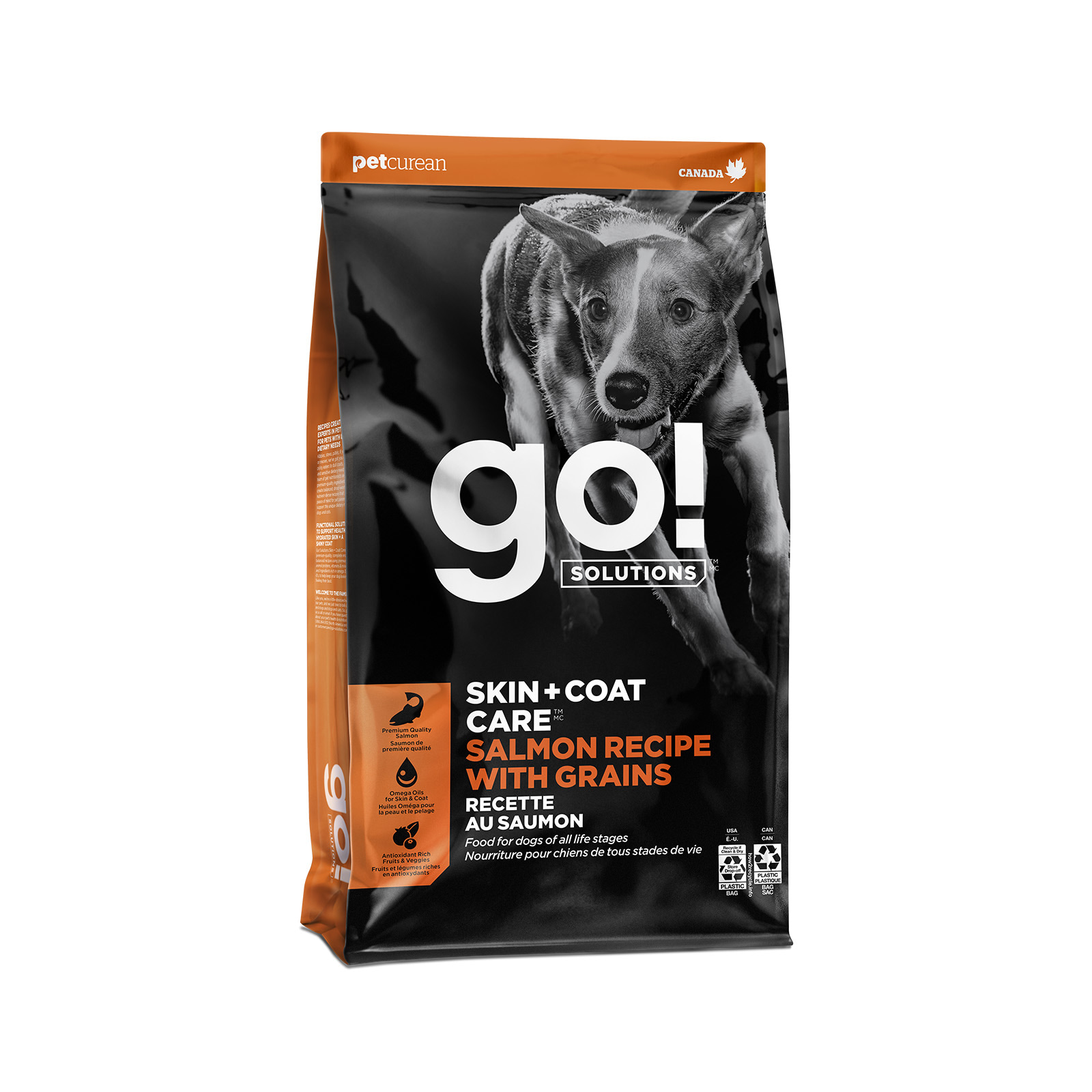 Go! Solutions Skin + Coat Care Salmon with Grains dry dog food