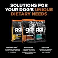 Explore our other solutions for your dog's unique dietary needs