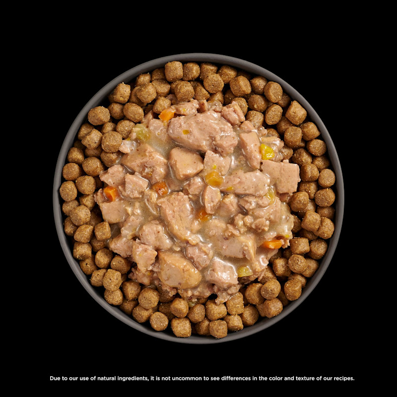 Go! Solutions Booster Digestive Health Chicken + Duck food topper on kibble