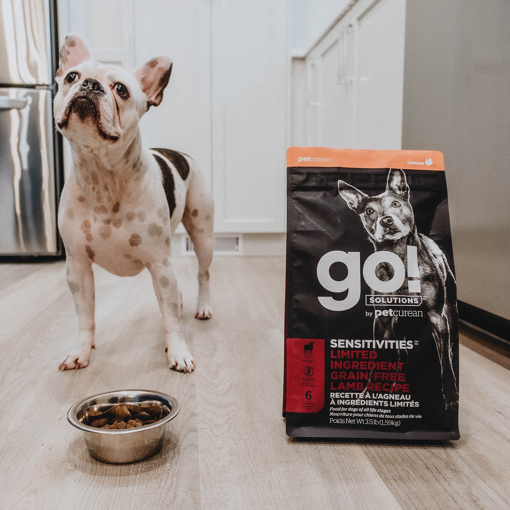 French Bulldog in kitchen beside bowl and Go! Solutions Sensitivities Limited Ingredient Grain-Free Lamb Recipe kibble bag