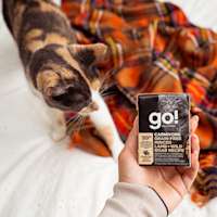Owner holding GO! SOLUTIONS CARNIVORE Grain-Free Minced Lamb + Wild Boar Recipe Tetra Pak in front of calico cat