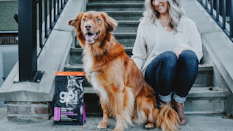 Nova Scotia Duck Tolling Retriever in front of cement steps with owner and bag of GO! SOLUTIONS SKIN + COAT CARE Grain-Free Chicken Recipe dry food