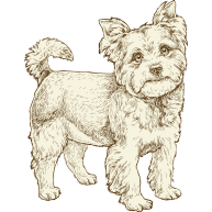 NOW-FRESH-Product-Illustration-Dog-Small-Breed-Adult