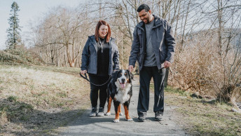 Pet parents on walk with Bernese Mountain Dog on leash