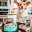Corgi in kitchen holding a spatula with bowl of GO! SOLUTIONS SKIN + COAT CARE Pollock Pâté with Grains for Dogs wet food