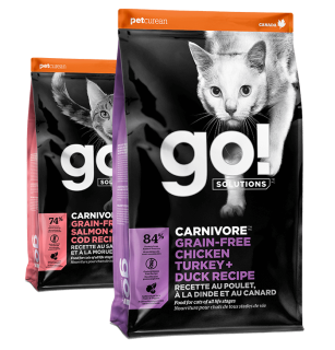 Go! Solutions Carnivore dry food recipes for cats