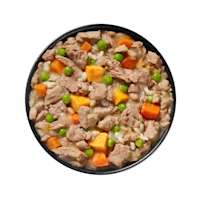 Bowl of GO! SOLUTIONS SKIN + COAT CARE Shredded Chicken Recipe with Grains for Dogs