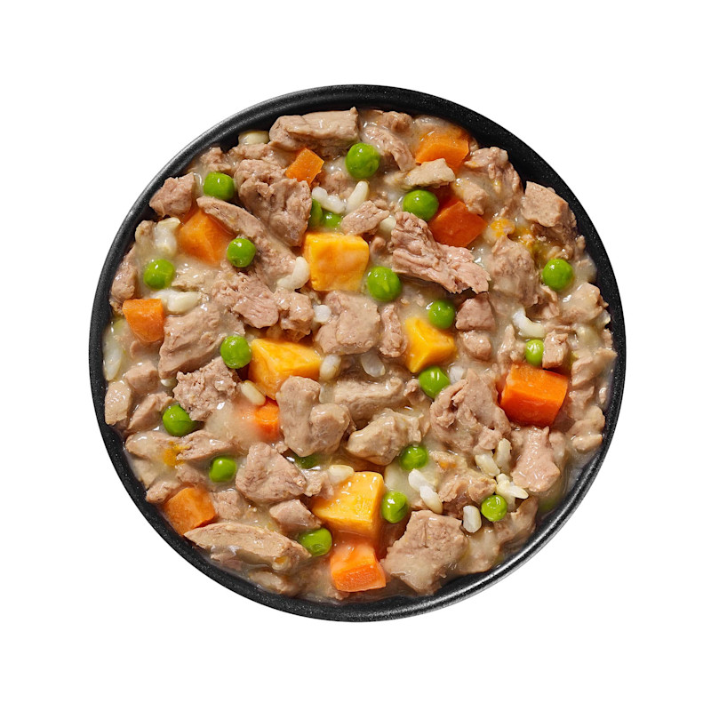 Bowl of GO! SOLUTIONS SKIN + COAT CARE Shredded Chicken Recipe with Grains for Dogs