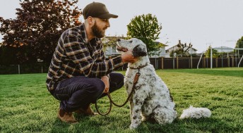 Man kneeling beside dog on leash