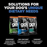 Explore other solutions for your dog's unique dietary needs