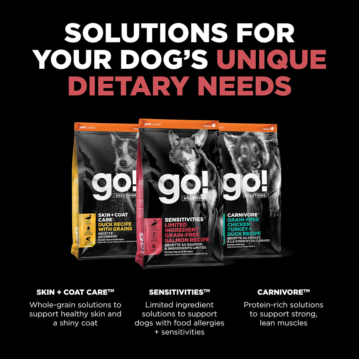 Explore our other solutions for your dog's unique dietary needs