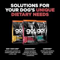 Explore our other solutions for your dog's unique dietary needs