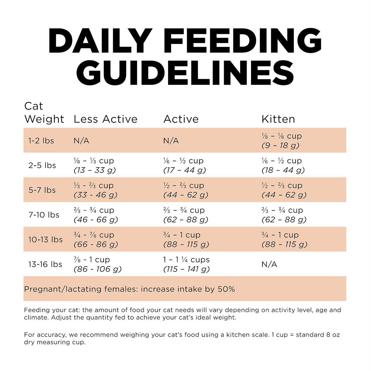 Go! Solutions Skin + Coat Care Grain-Free Salmon Recipe cat food feeding guidelines