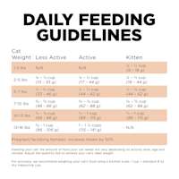 Go! Solutions Skin + Coat Care Grain-Free Salmon Recipe cat food feeding guidelines