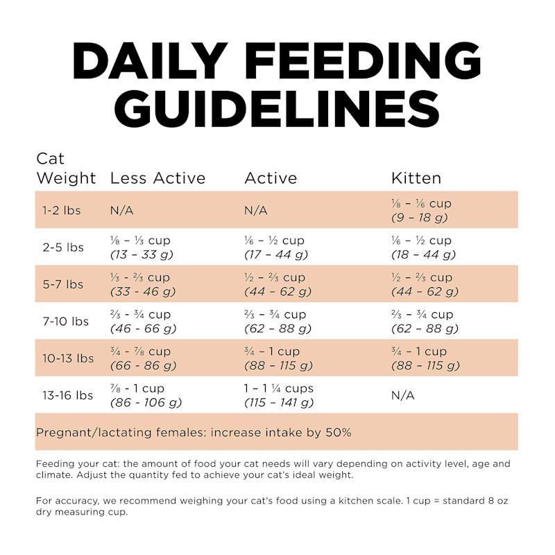 Go! Solutions Skin + Coat Care Grain-Free Salmon Recipe cat food feeding guidelines
