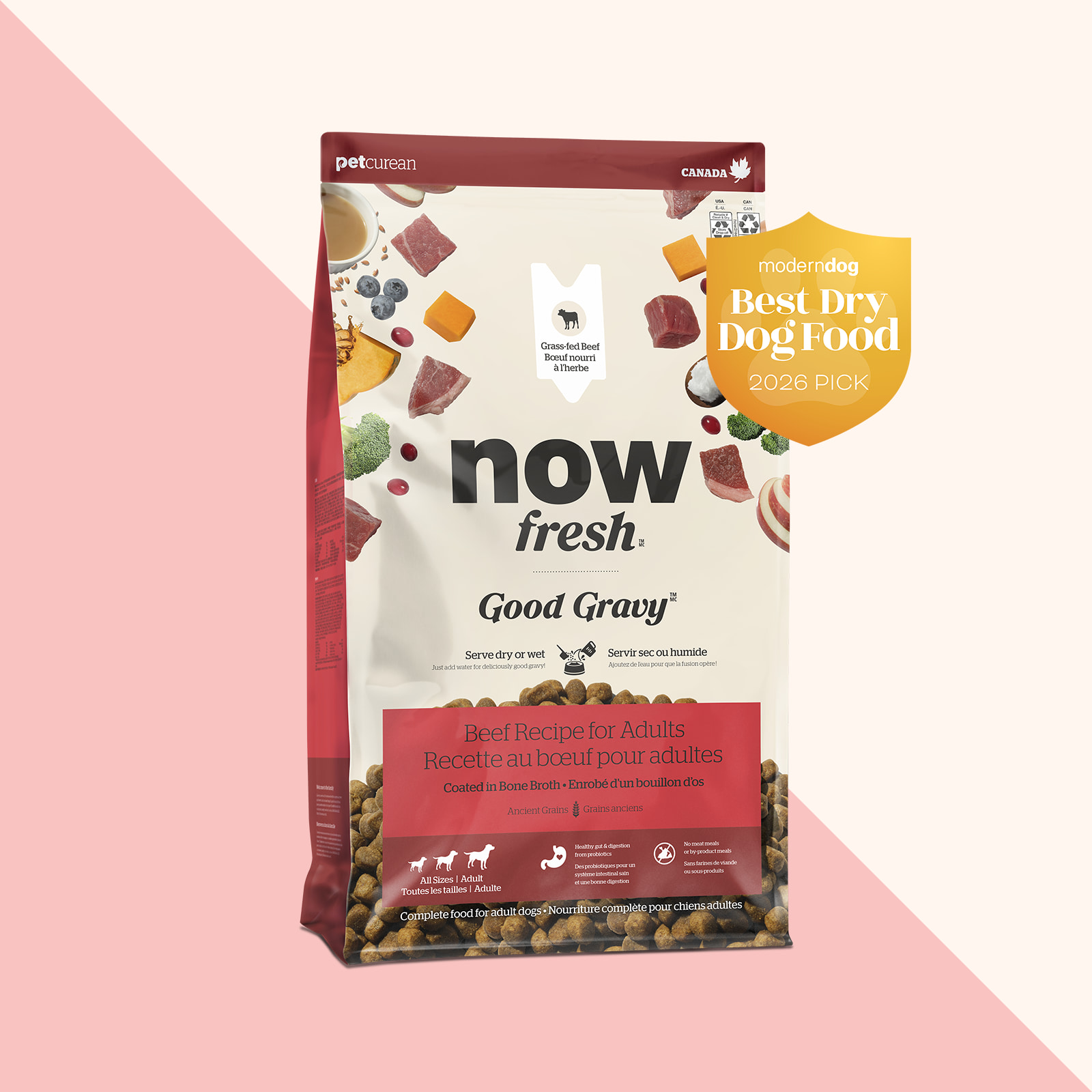 Now Fresh Good Gravy Beef Recipe for Adult Dogs, Modern Dog Best Dry Dog Food 2026