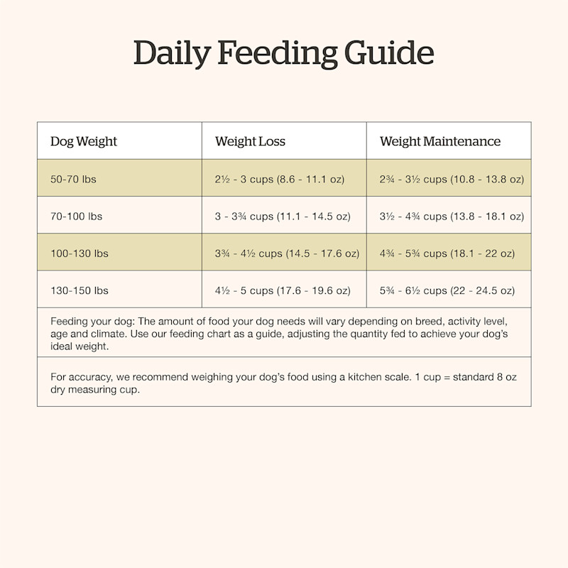 Now Fresh Large Breed Senior Recipe dog food feeding guide