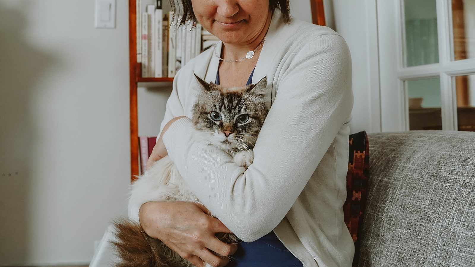 Photo inspiration: Fresh Look at First Time Cat Owner Checklist