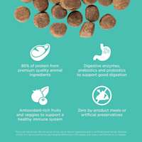 85% of protein from animal sources, digestive enzymes, antioxidant-rich ingredients, and zero by-product meals