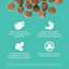 85% of protein from animal sources, digestive enzymes, antioxidant-rich ingredients, and zero by-product meals