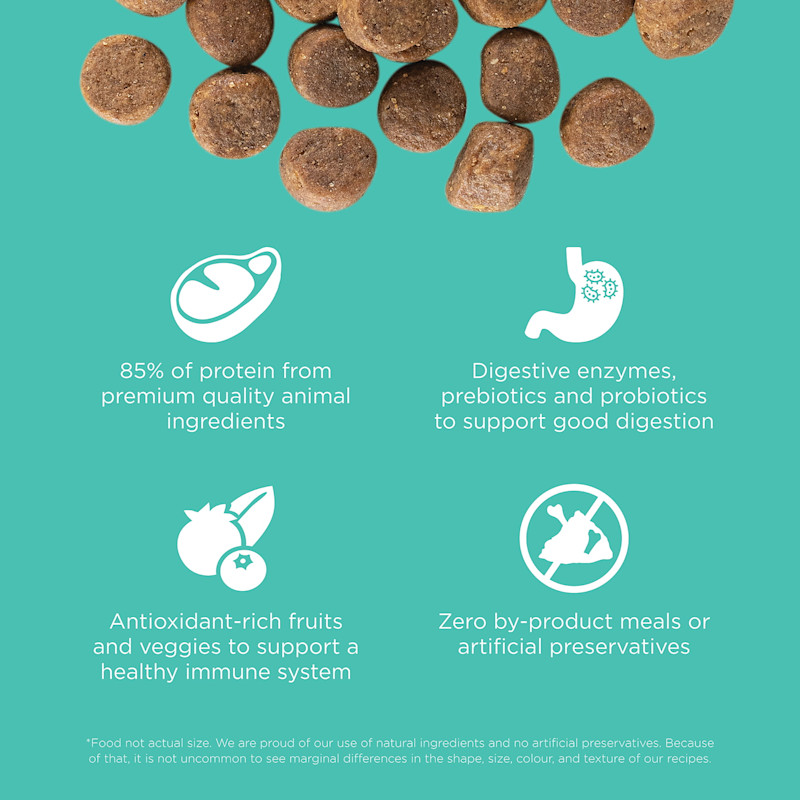 85% of protein from animal sources, digestive enzymes, antioxidant-rich ingredients, and zero by-product meals