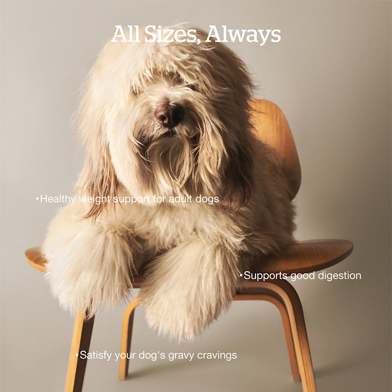 Supports good digestion, healthy weight support, and satisfies your dog's gravy cravings