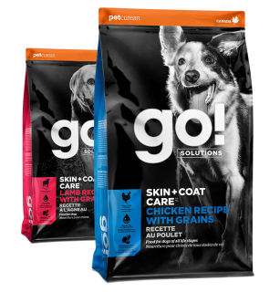 Go! Solutions Skin + Coat Care dry food recipes for dogs