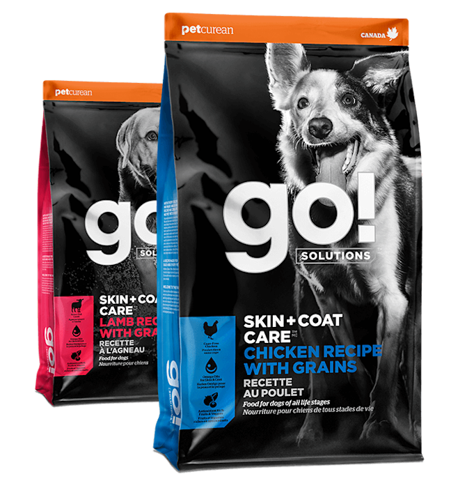 Go! Solutions Skin + Coat Care dry food recipes for dogs