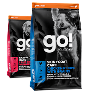 Go! Solutions Skin + Coat Care dry food recipes for dogs