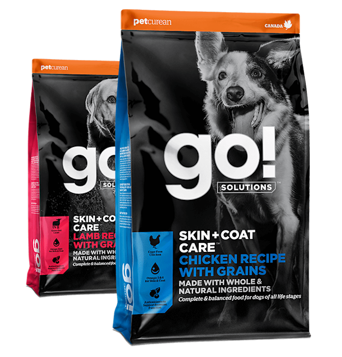 Go! Solutions Skin + Coat Care dry food recipes for dogs