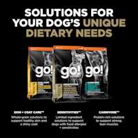 Explore our other solutions for your dog's unique dietary needs