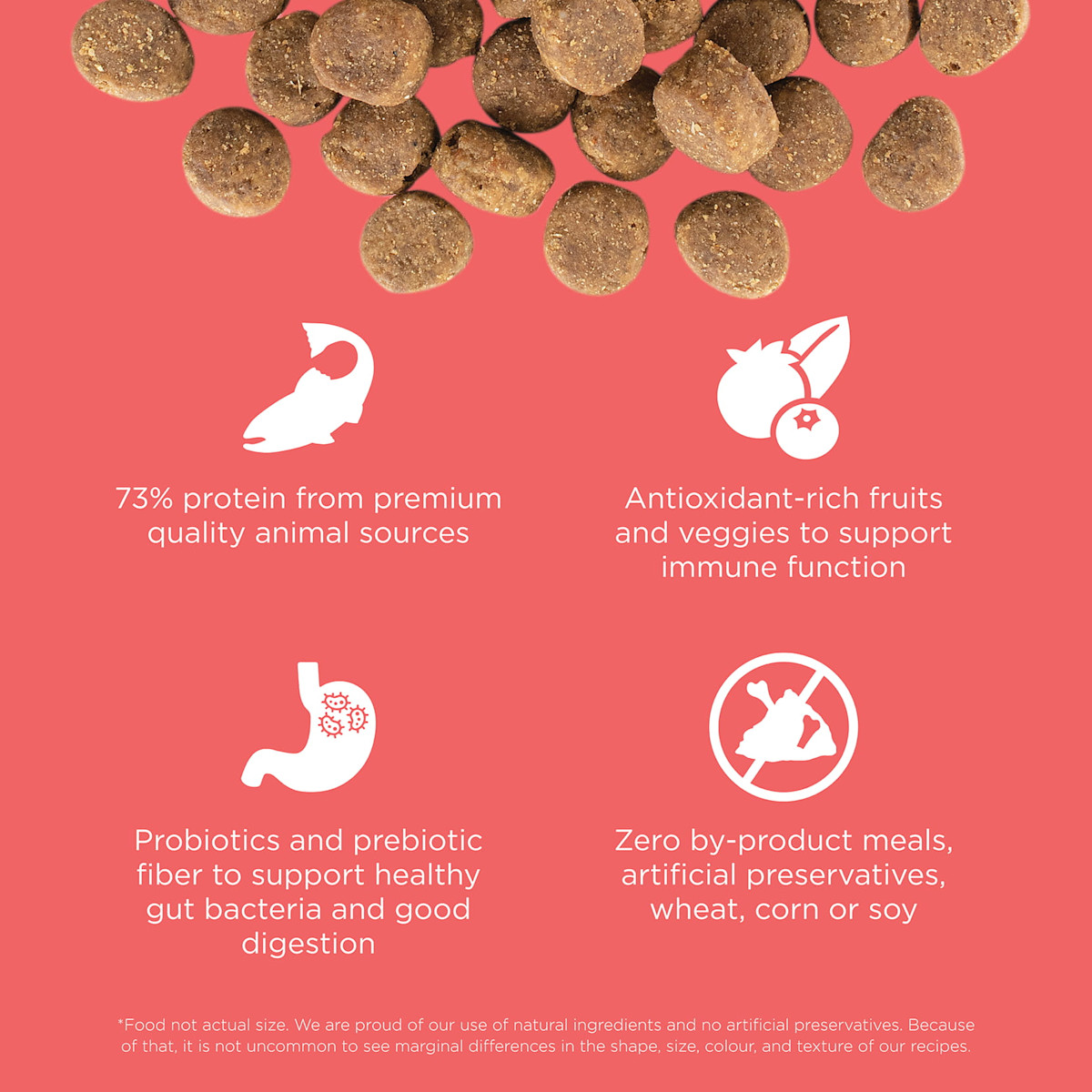 73% protein from animal sources, antioxidant-rich ingredients, probiotics and prebiotic fibre, and zero by-product meals