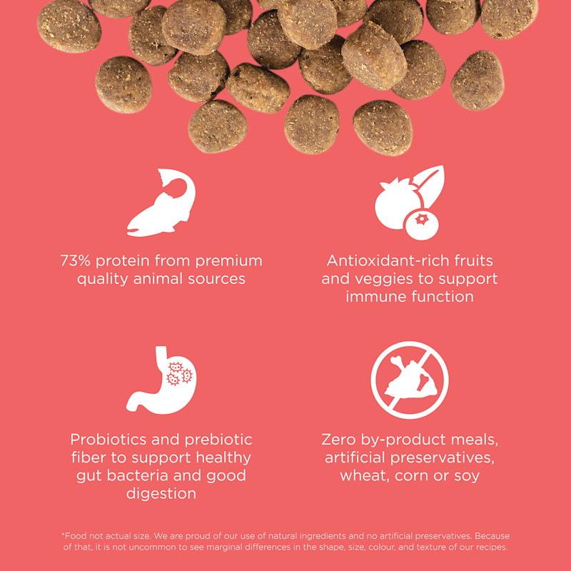 73% protein from animal sources, antioxidant-rich ingredients, probiotics and prebiotic fiber, and zero by-product meals