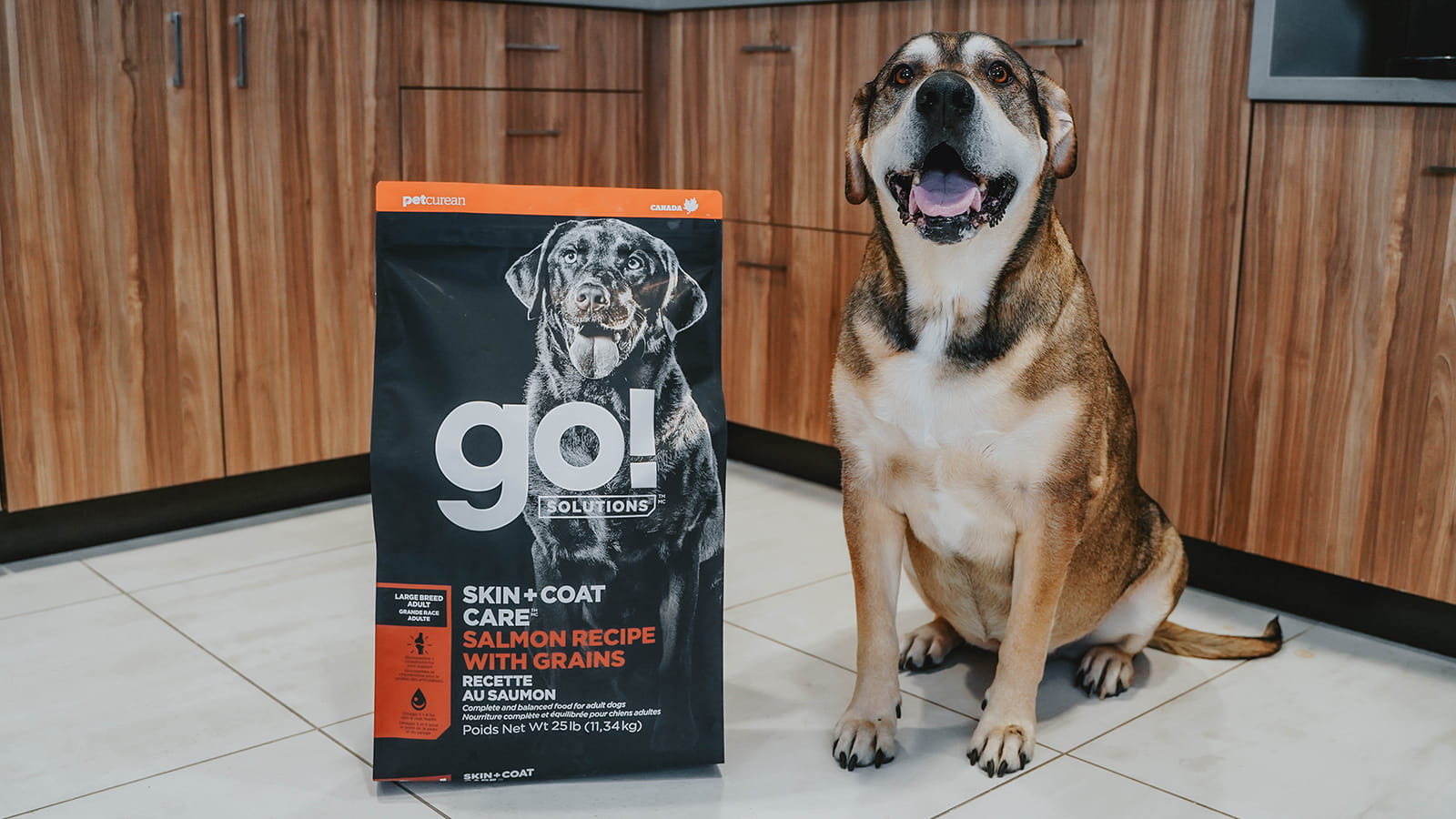 GO! SOLUTIONS Skin + Coat Salmon With Grains Recipe Large Breed