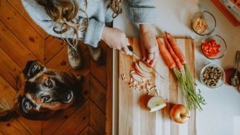 Dog and owner in the kitchen prepping food