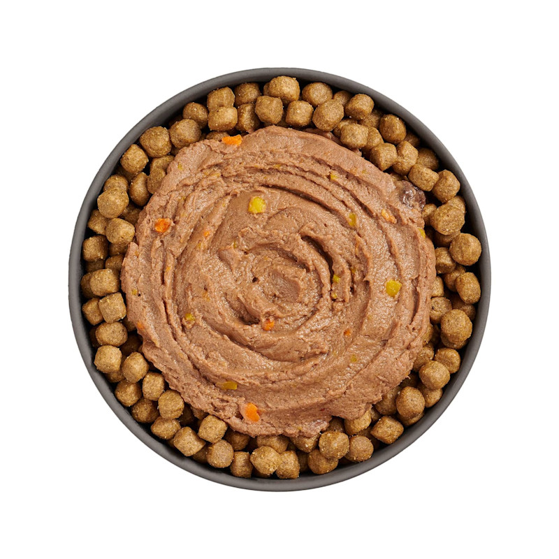 Bowl of kibble topped with Go! Booster Immune Health Tuna Pâté for cats