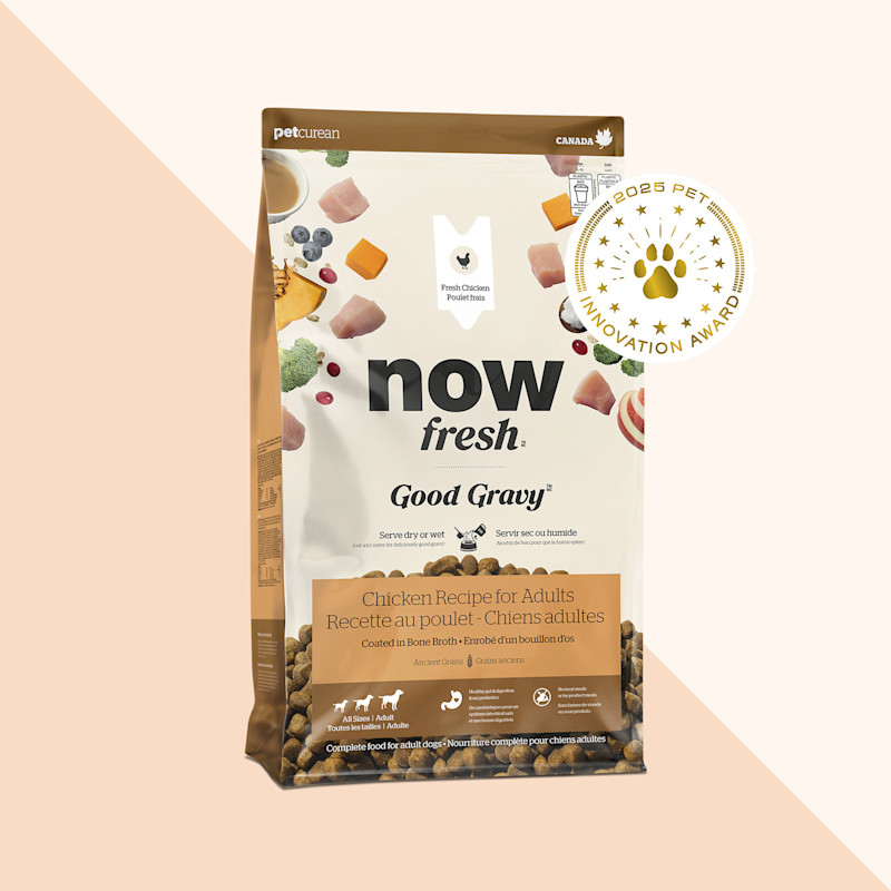 Now Fresh Good Gravy Chicken Recipe for Adult Dogs, 2025 Pet Innovation Award