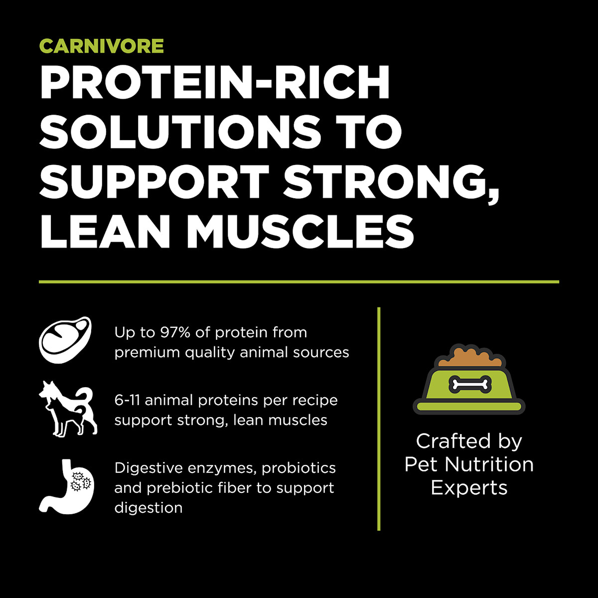 Protein-rich solutions to support strong, lean muscles